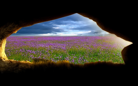 cave-exit-into-field